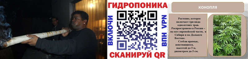 Конопля Bruce Banner  Купить закладки  Сретенск 